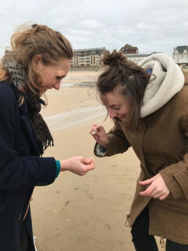 121904e1-6f21-4e19-81b3-ea31fd7e8934