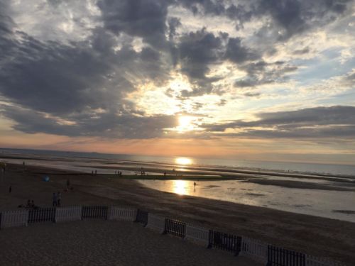 203be156-cbff-4d40-9421-b23e25f5ffc2 (1)