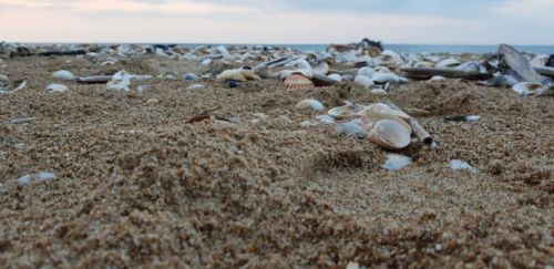 WhatsApp Image 2018-10-20 at 13.09.58 (1)